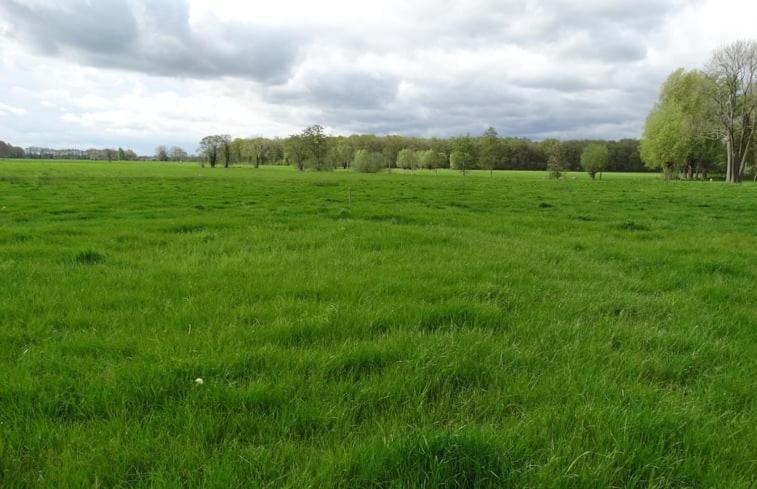 Veldzicht * Klarenbeek